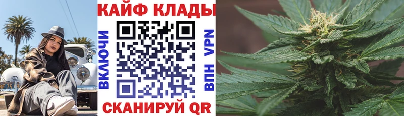 Сколько стоит Тогучин Галлюциногенные грибы  Альфа ПВП  МАРИХУАНА  Меф  ЭКСТАЗИ  Кокаин 