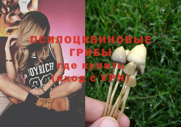герыч Мегион