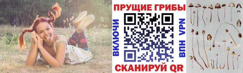 Галлюциногенные грибы Magic Shrooms  цена   Тогучин 